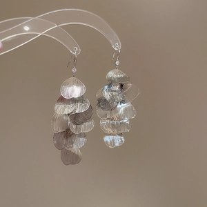 Detailed macro view of silver petal earrings with cascading metallic fringe and ear hooks