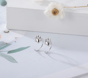 Close-up of cute silver cat paw earrings on a decorative display card with dried flowers