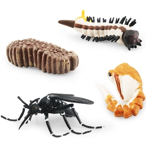 Educational mosquito life cycle models showing four growth stages on white background