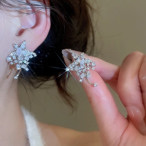 Gros plan de boucles d'oreilles en forme d'étoile argentée serties de zircons brillants