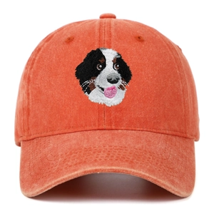 Détail de la broderie Bouvier Bernois sur casquette de baseball en coton délavé