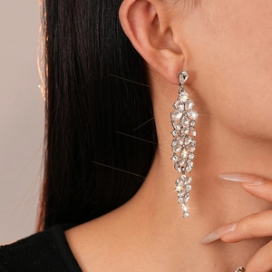 Detail of elegant silver tassel flower earrings with clear sparkling gemstones on model