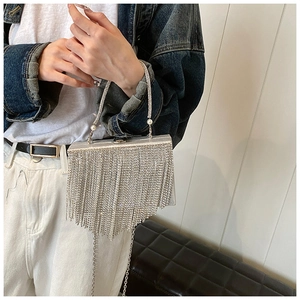 Macro detail of silver rhinestone fringe and pearl handle on this luxury evening clutch bag