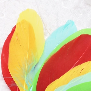 Macro detail of multi-color peacock feathers for DIY jewelry and vintage ear cuffs