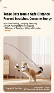 Flexible extendable wand cat toy with honeybee lure for safe interactive indoor play