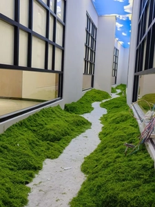 Modern indoor landscape featuring thick artificial green moss lawn in a corridor setting