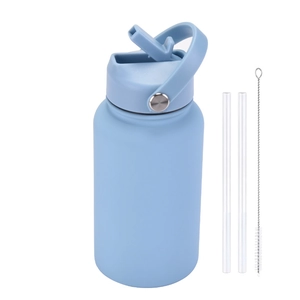 650ml blue stainless steel sports bottle with handle, straw, and cleaning brush