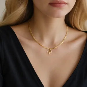 Collier Pendentif Douze Signes du Zodiaque en Acier Inoxydable pour Femmes Chaîne Serpent en Acier au Titane Ras du Cou Personnalisé
