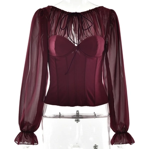 Sexy burgundy corset top with sheer mesh long sleeves and drawstring tie front