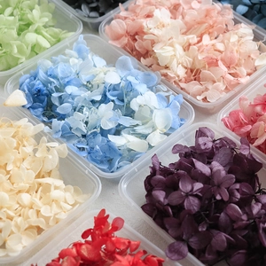 Preserved hydrangea petals in multiple colors for DIY crafts, organized in clear boxes