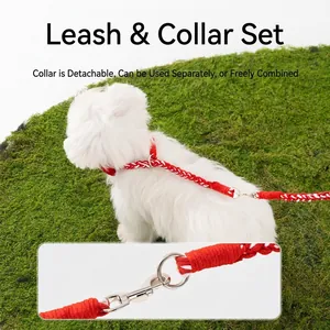 Set guinzaglio e collare per cani intrecciato rosso e bianco con fibbie in metallo resistenti