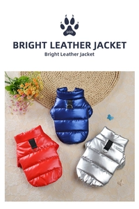 Détail de vestes brillantes pour animaux en rouge bleu et argent avec anneaux en D