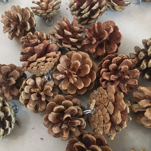 Natural brown pine cone ornaments with silver metal hooks for Christmas tree decoration