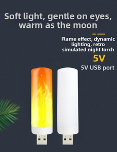 Detail view of USB 5V dynamic flame night light showing both lit and unlit states