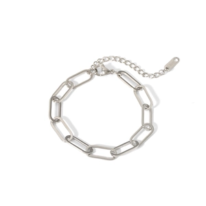 Macro shot of silver stainless steel paperclip chain necklace with lobster clasp and tag