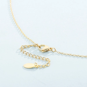 Macro view of the golden necklace lobster clasp and adjustable extension chain detail