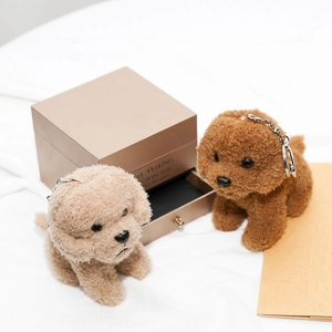 Cute teddy dog plush keychains in beige and brown with a Best Wishes gift box