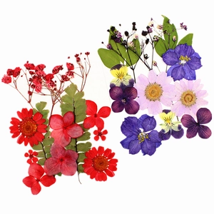 Dettaglio di fiori secchi per stampi in resina con margherite, viole e foglie verdi