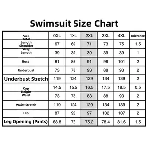 Detailed size chart for plus size slim fit colorblock swimsuit from 0XL to 4XL