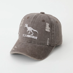 Detail of embroidered dinosaur skeleton on distressed brown-gray children baseball cap