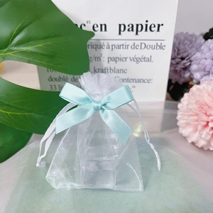 Detail of white organza gift bag with a mint green ribbon drawstring and bow