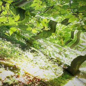 Detail showing high-density fabric texture and vivid green forest scenery print