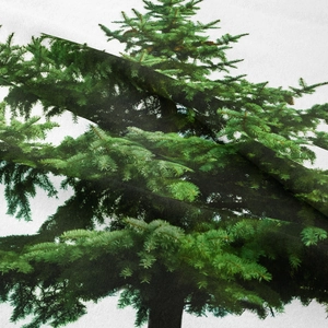 Detailed close-up of realistic green pine tree pattern on woven textile fabric