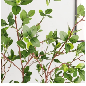 Detailed close-up of realistic green Milan leaves showing intricate natural textures