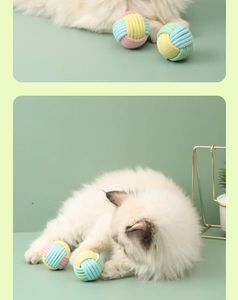 Close-up of a white cat playing with colorful braided cotton rope balls for kittens