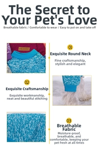 Detail of blue and white knitted pet sweater showing ribbed crew neck and fine stitching