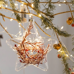Star-shaped glowing Christmas ornament with red berries and warm LED lights on a tree