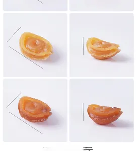 Vue détaillée de grands modèles d'ormeaux artificiels montrant texture et dimensions