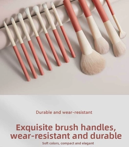 Detail von 12 Make-up Pinseln mit weichen Borsten und haltbaren rosa Griffen