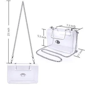 Clear crossbody bag with gold chain strap, 7.3 inch transparent handbag for women