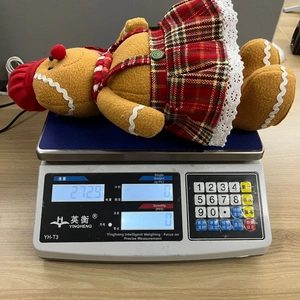 Detailed view of gingerbread plush doll in plaid dress on scale weighing 272.9 grams