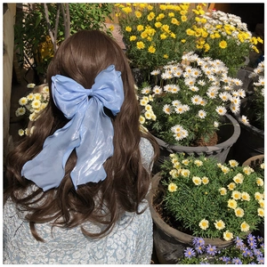 Macro shot of a light blue sheer ribbon bow hair clip worn on long wavy brown hair