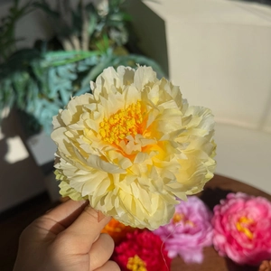 Handheld vintage pale yellow peony hair clip made of silk fabric with layered petals