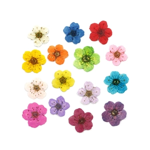Pressed Dried Flowers Natural Real Floral For Resin Jewelry Making Nail Art Phone Case Decor DIY Craft