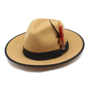 Detail of wool fedora hat featuring colorful feather accent and black ribbon trim