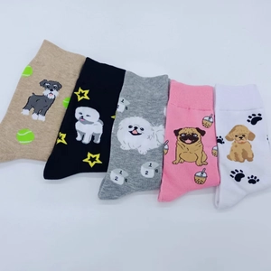 Close-up of five pairs cotton crew socks with colorful puppy dog embroidery