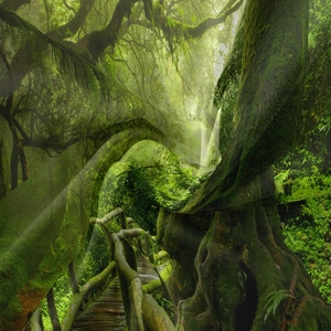 Dettaglio dell'arazzo della foresta con stampa HD e consistenza liscia del tessuto