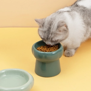 Elevated ceramic cat bowl set in deep and light green for ergonomic pet feeding