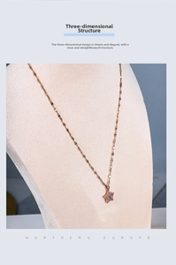 Detail of rose gold star pendant with micro-pawned white zircons on a jewelry stand