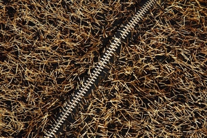 Detail of black fabric with gold fringe metallic wires and silver metal zipper closure