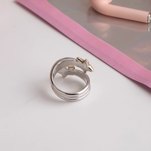 Gros plan d'une bague étoile en acier inoxydable argenté avec anneau double couche poli