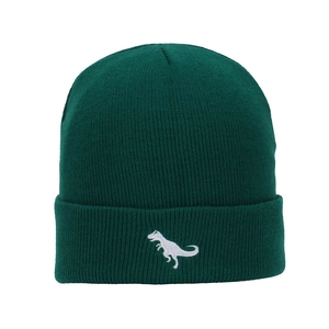Detailed close-up of dark green knitted beanie featuring a white dinosaur embroidery