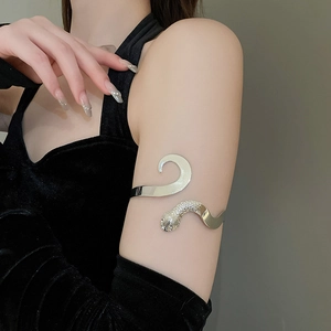 Vue détaillée du brassard serpent argenté avec texture d'écailles sur le bras