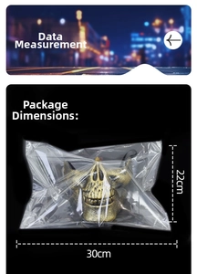 Detail view of the bronze skull mask packaging with dimensions 30cm by 22cm