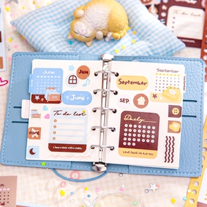 Light blue leather loose-leaf planner with aesthetic stickers and English inner pages