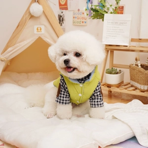Detail of lime green quilted pet vest with black and white checkered sleeves on a dog